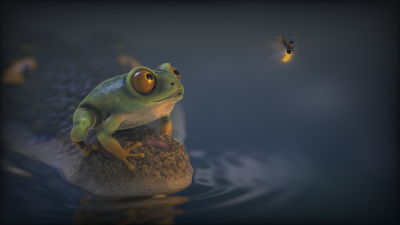 screenshot added by iapafoto on 2025-08-23 00:05:43
