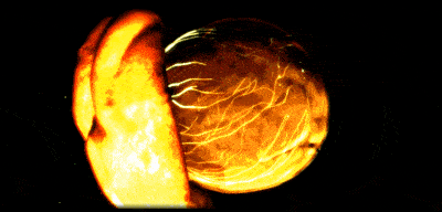 screenshot added by netro on 2025-11-30 10:12:22