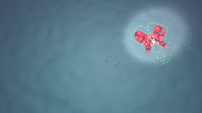 screenshot added by Doctor Gekil on 2026-04-05 15:12:42