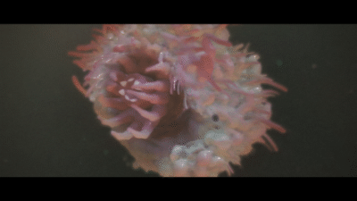 screenshot added by pandur on 2026-04-06 11:13:02