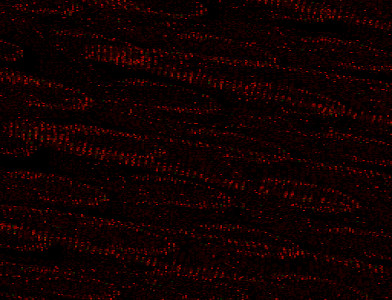 screenshot added by Natt on 2026-06-14 14:45:18