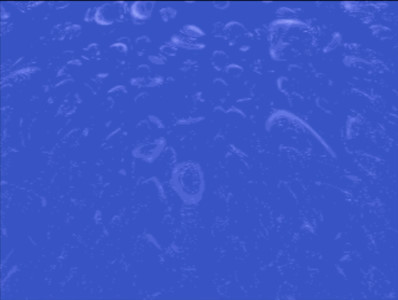 screenshot added by wbcbz7 on 2026-06-16 21:37:19